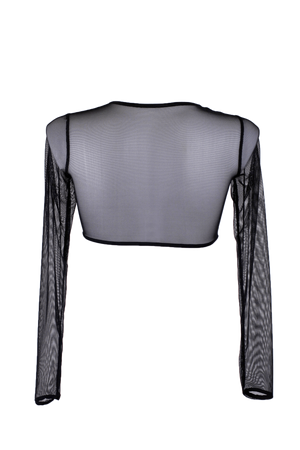 Crop T-Shirt Long Sleeve Stretch Mesh with Embroidered Applique / BLACK - EXES LINGERIE