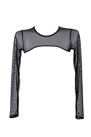 Super Crop Top Long Sleeve Sheer Mesh Black  /  SUPER CROP Black - EXES LINGERIE